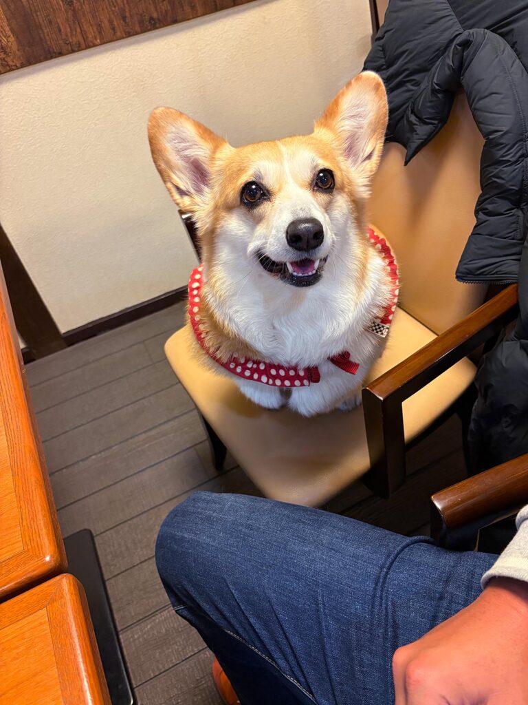 高松市でペット同伴の食事なら和風ばるつどいや