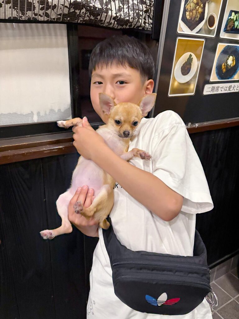 高松市でペット同伴の食事なら和風ばるつどいや