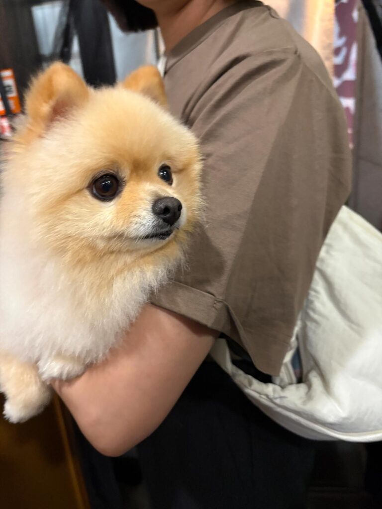 高松市でペット同伴の食事なら和風ばるつどいや