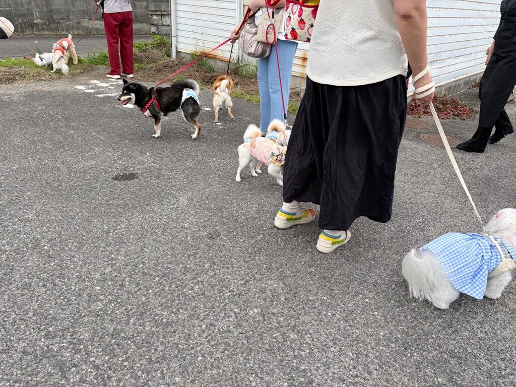 高松市でペット同伴の食事なら和風ばるつどいや