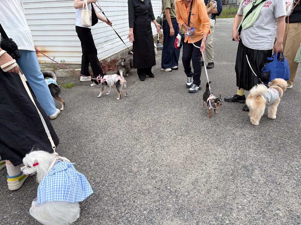 高松市でペット同伴の食事なら和風ばるつどいや